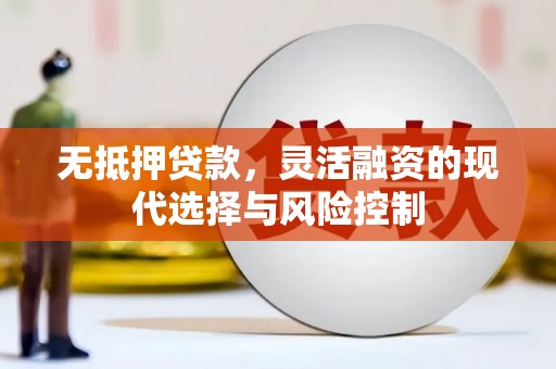 务川无抵押贷款，灵活融资的现代选择与风险控制