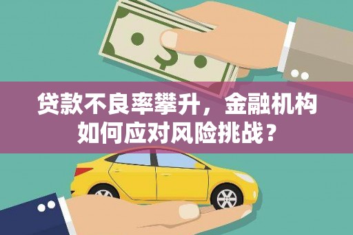 务川贷款不良率攀升，金融机构如何应对风险挑战？