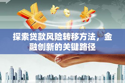 务川探索贷款风险转移方法，金融创新的关键路径