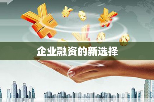 务川企业融资的新选择