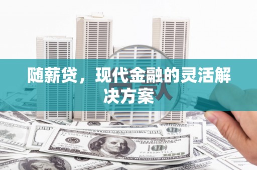 务川随薪贷，现代金融的灵活解决方案