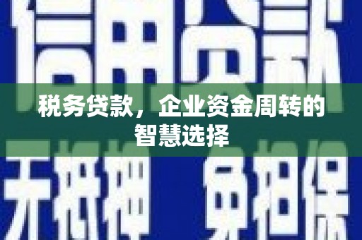 务川税务贷款，企业资金周转的智慧选择