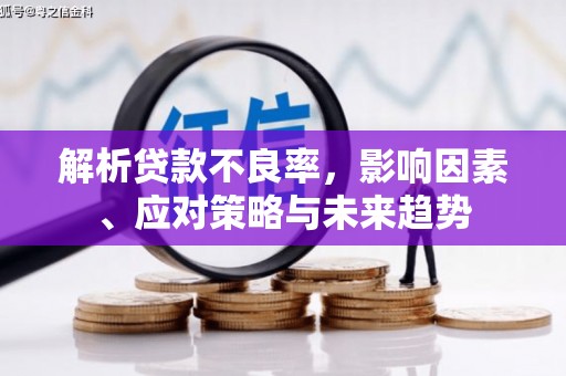 务川解析贷款不良率，影响因素、应对策略与未来趋势