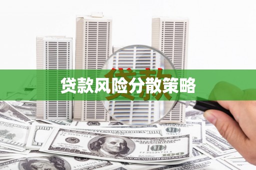 务川贷款风险分散策略