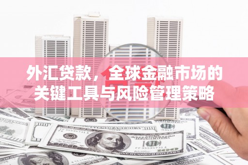 务川外汇贷款，全球金融市场的关键工具与风险管理策略
