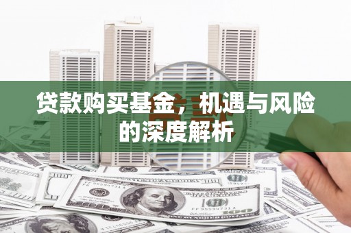 务川贷款购买基金，机遇与风险的深度解析
