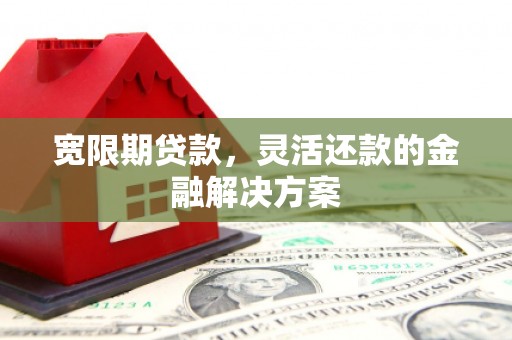 务川宽限期贷款，灵活还款的金融解决方案
