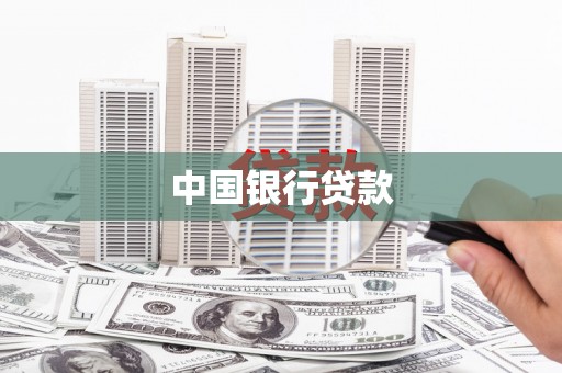务川中国银行贷款