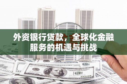 务川外资银行贷款，全球化金融服务的机遇与挑战