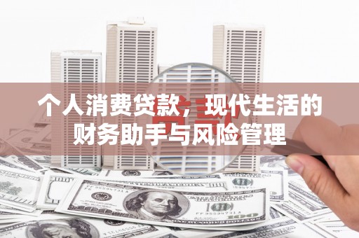 务川个人消费贷款，现代生活的财务助手与风险管理