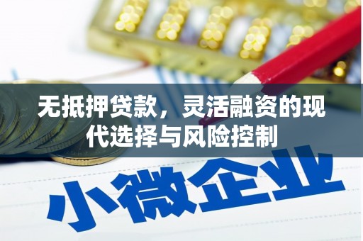 务川无抵押贷款，灵活融资的现代选择与风险控制