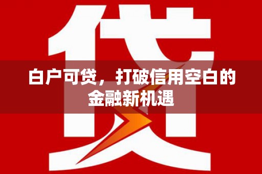 务川白户可贷，打破信用空白的金融新机遇
