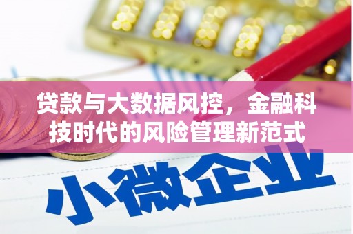 务川贷款与大数据风控，金融科技时代的风险管理新范式