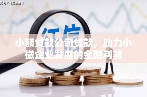 务川小额贷款公司贷款，助力小微企业发展的金融利器