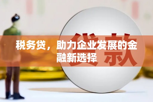 务川税务贷，助力企业发展的金融新选择