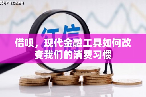 务川借呗，现代金融工具如何改变我们的消费习惯