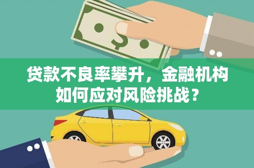 务川贷款不良率攀升，金融机构如何应对风险挑战？