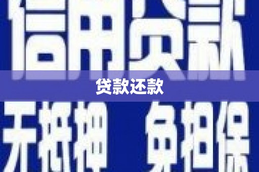务川贷款还款