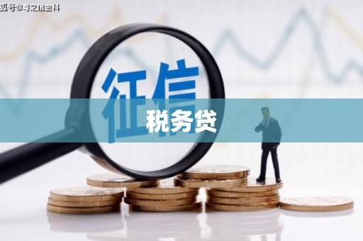 务川税务贷