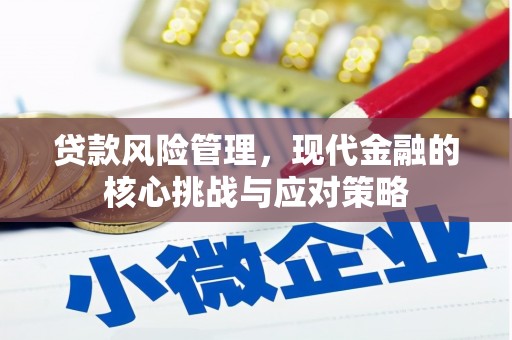 务川贷款风险管理，现代金融的核心挑战与应对策略