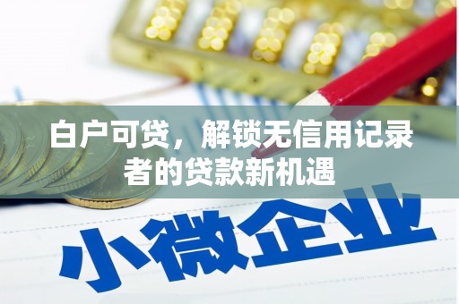 务川白户可贷，解锁无信用记录者的贷款新机遇