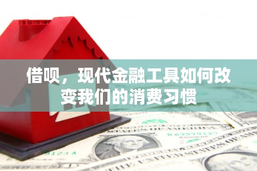 务川借呗，现代金融工具如何改变我们的消费习惯
