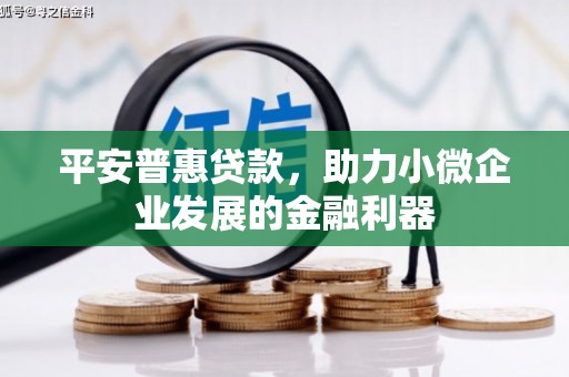 务川平安普惠贷款，助力小微企业发展的金融利器