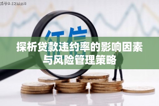 务川探析贷款违约率的影响因素与风险管理策略