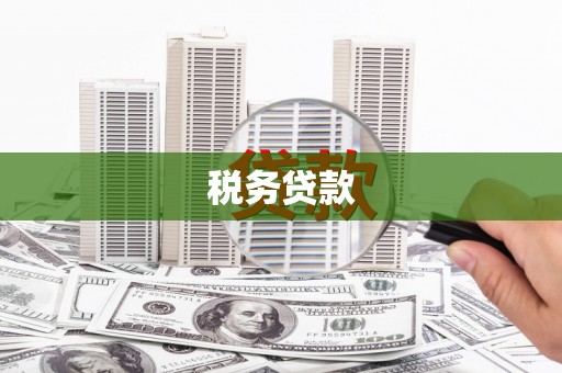 务川税务贷款