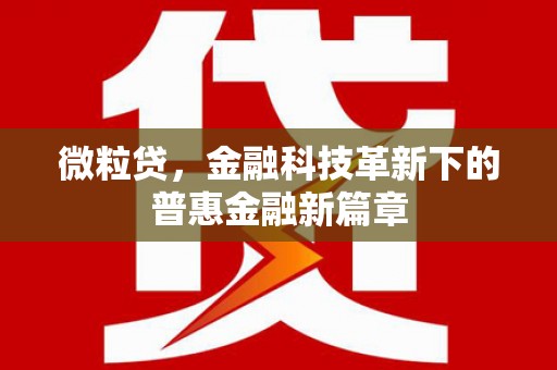 务川微粒贷，金融科技革新下的普惠金融新篇章