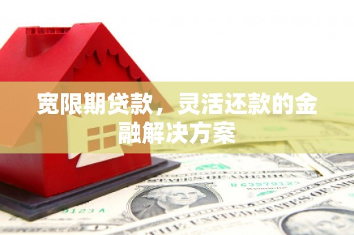 务川宽限期贷款，灵活还款的金融解决方案
