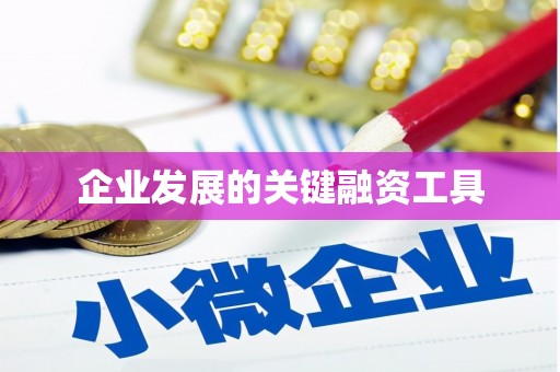 务川企业发展的关键融资工具