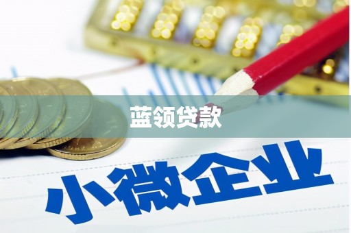 务川蓝领贷款