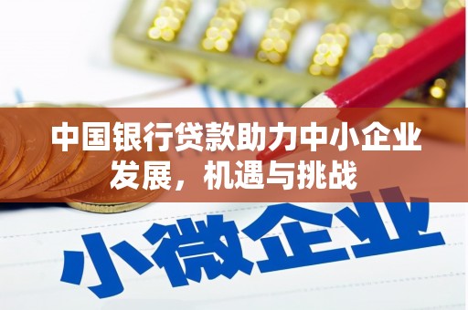 务川中国银行贷款助力中小企业发展，机遇与挑战