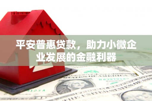 务川平安普惠贷款，助力小微企业发展的金融利器