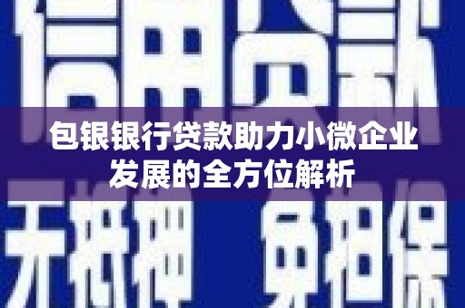 务川包银银行贷款助力小微企业发展的全方位解析