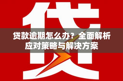 务川贷款逾期怎么办？全面解析应对策略与解决方案