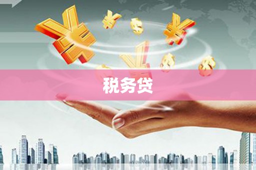 务川税务贷