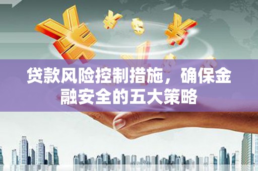 务川贷款风险控制措施，确保金融安全的五大策略