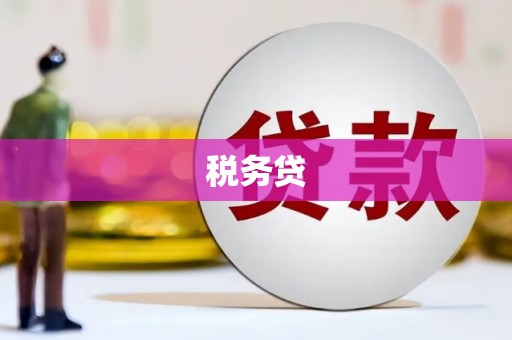 务川税务贷