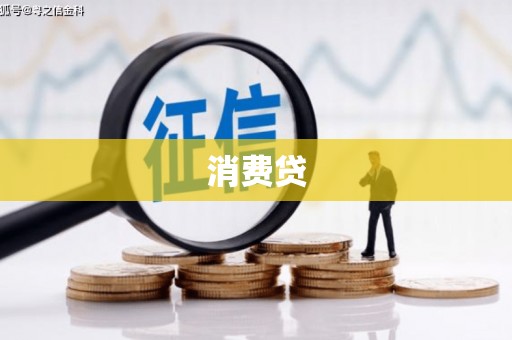 务川消费贷
