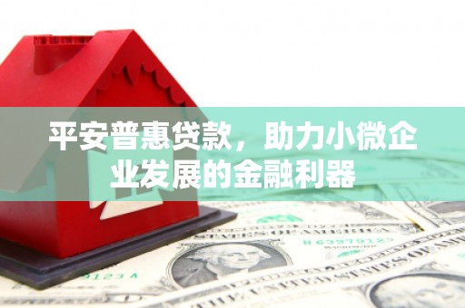 务川平安普惠贷款，助力小微企业发展的金融利器