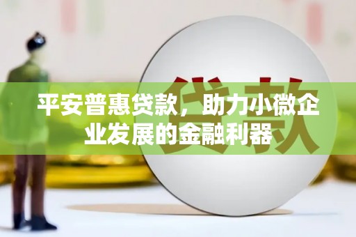 务川平安普惠贷款，助力小微企业发展的金融利器