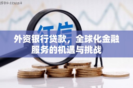 务川外资银行贷款，全球化金融服务的机遇与挑战