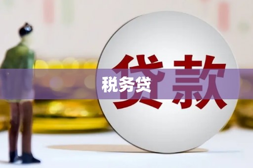 务川税务贷