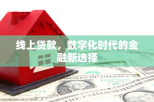 务川线上贷款，数字化时代的金融新选择
