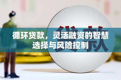 务川循环贷款，灵活融资的智慧选择与风险控制