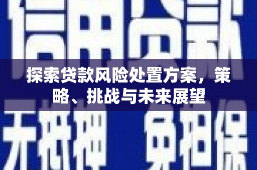 务川探索贷款风险处置方案，策略、挑战与未来展望