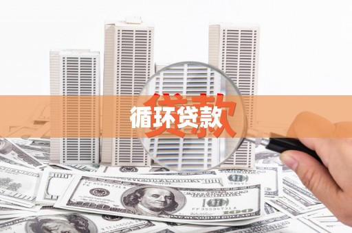 务川循环贷款