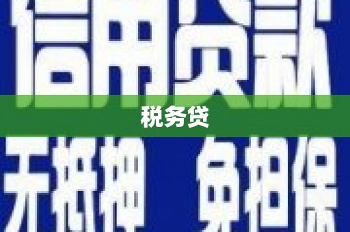 务川税务贷